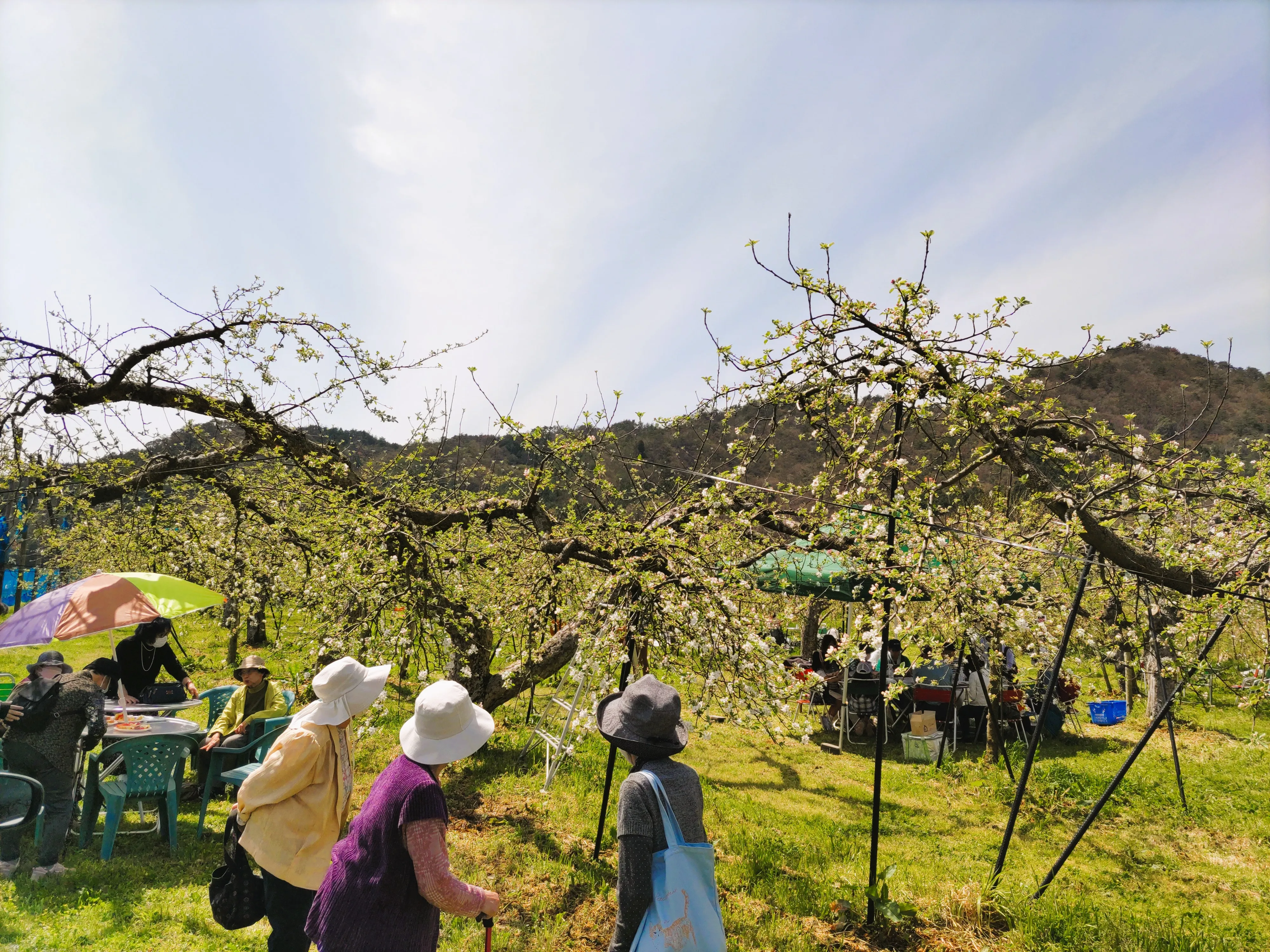 行事イベント・地域交流会